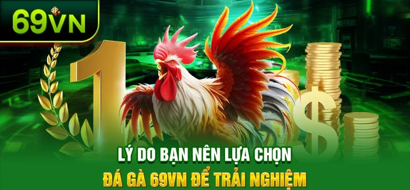 Thông tin cụ thể giúp các bạn hiểu hơn về đá gà 69VN