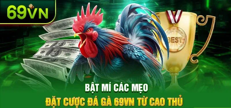 Bật mí các mẹo đặt cược đá gà 69VN từ cao thủ