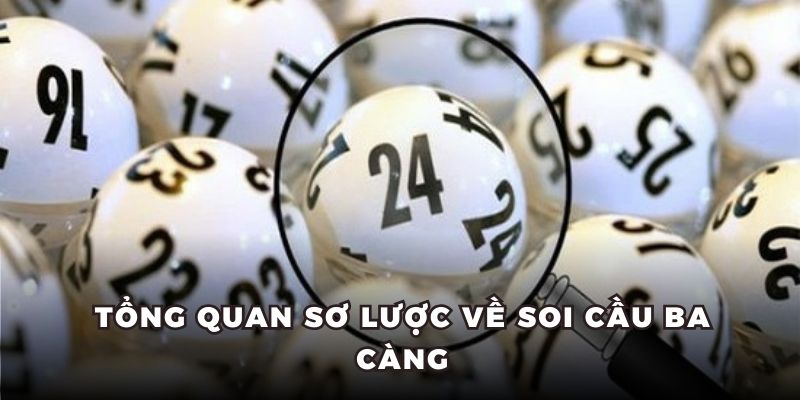 soi cầu